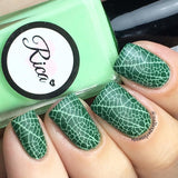 4 Seasons - Autumn 01