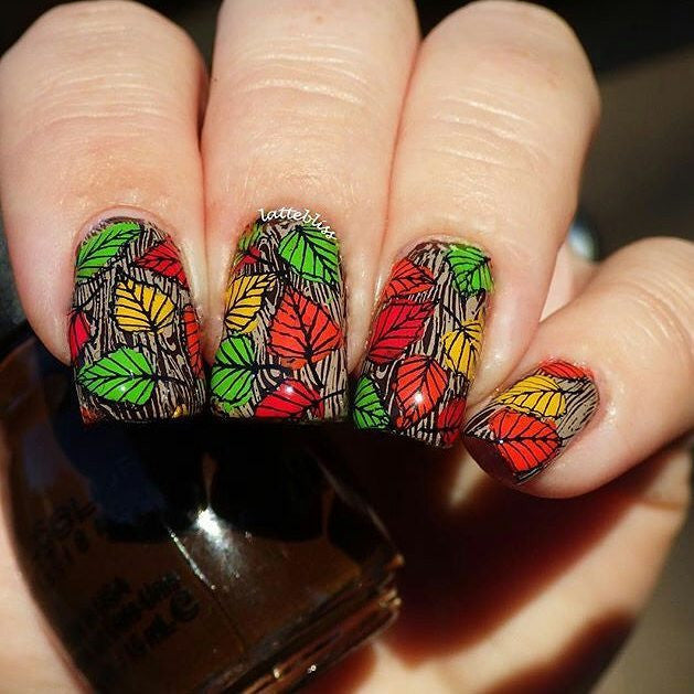 4 Seasons - Autumn 01