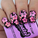 4 Seasons - Summer 02