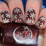 4 Seasons - Winter 02