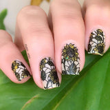 stained glasstic! 01