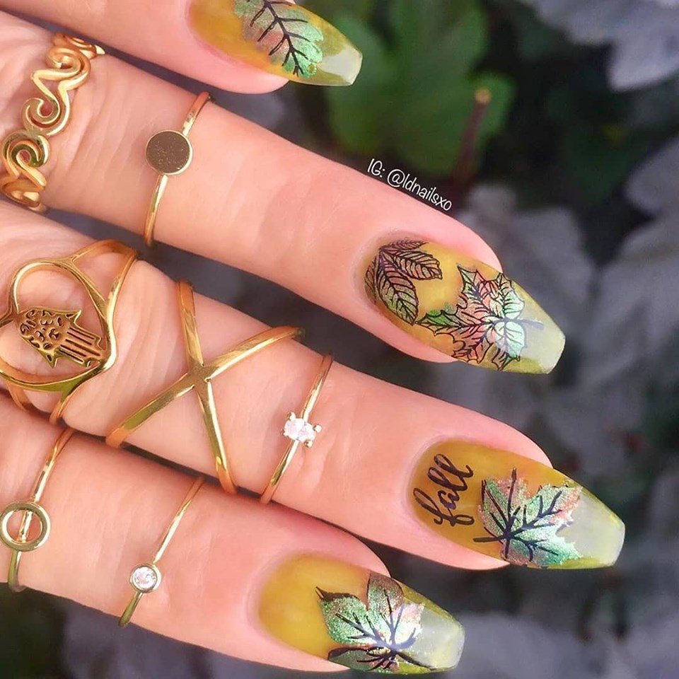 4 Seasons - Autumn 03