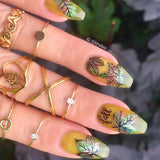 4 Seasons - Autumn 03