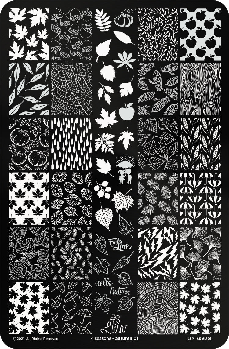 4 Seasons - Autumn 01