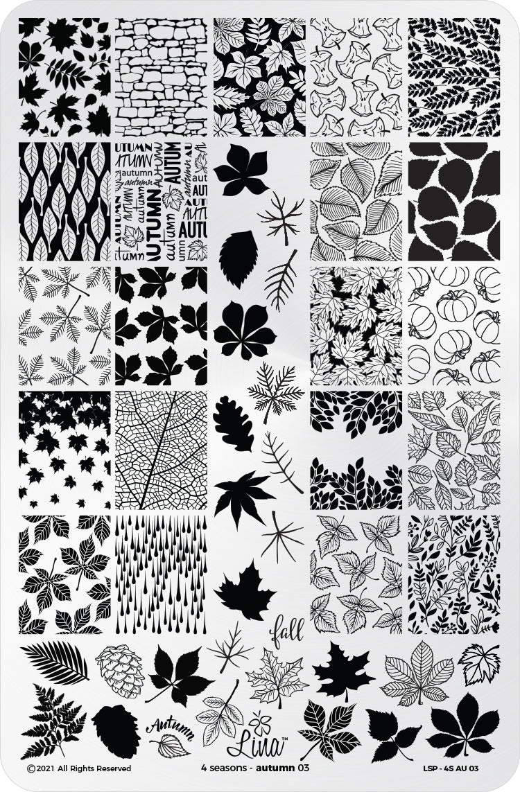 4 Seasons - Autumn 03