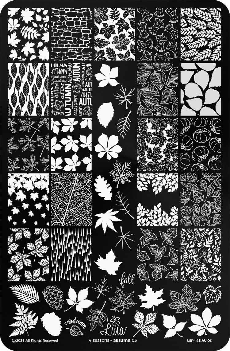 4 Seasons - Autumn 03