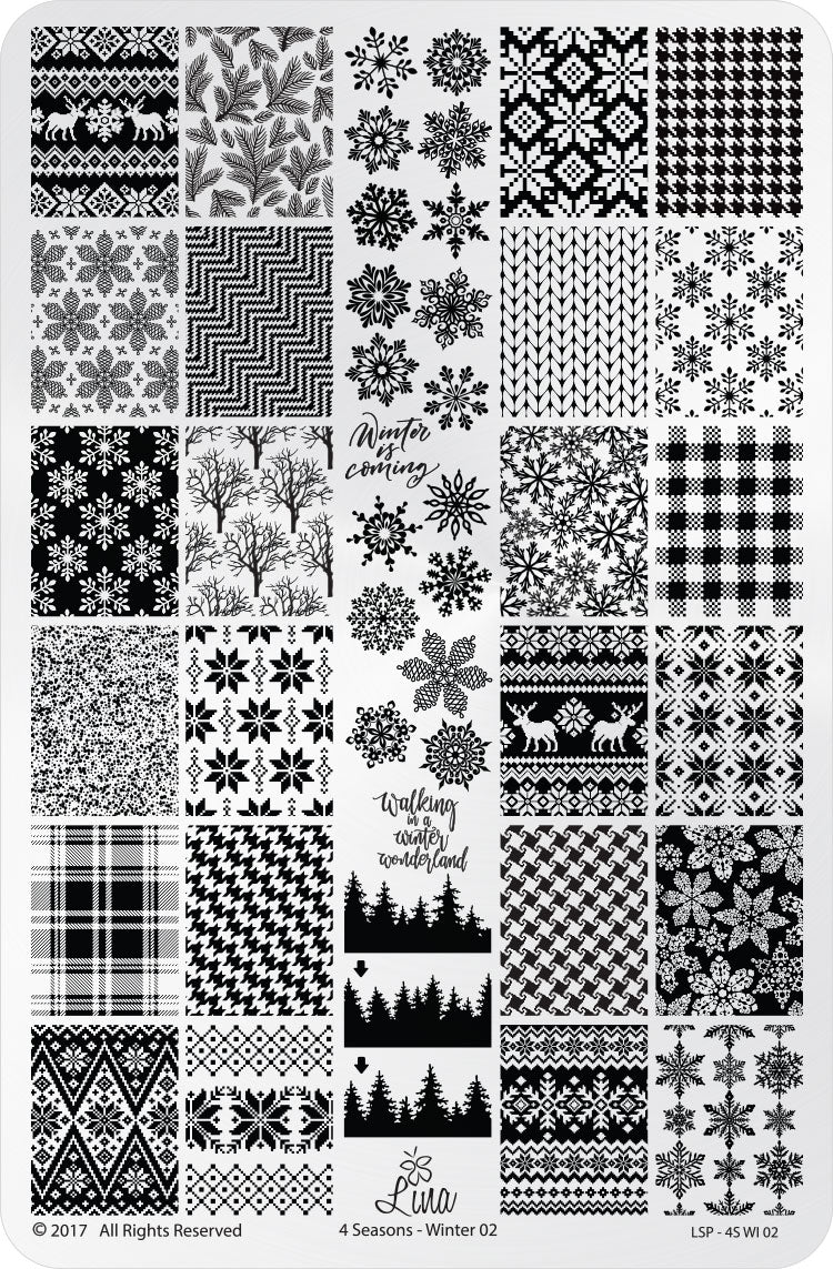 4 Seasons - Winter 02