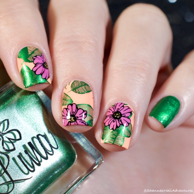 @shannasnailadventures collab