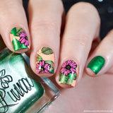 @shannasnailadventures collab